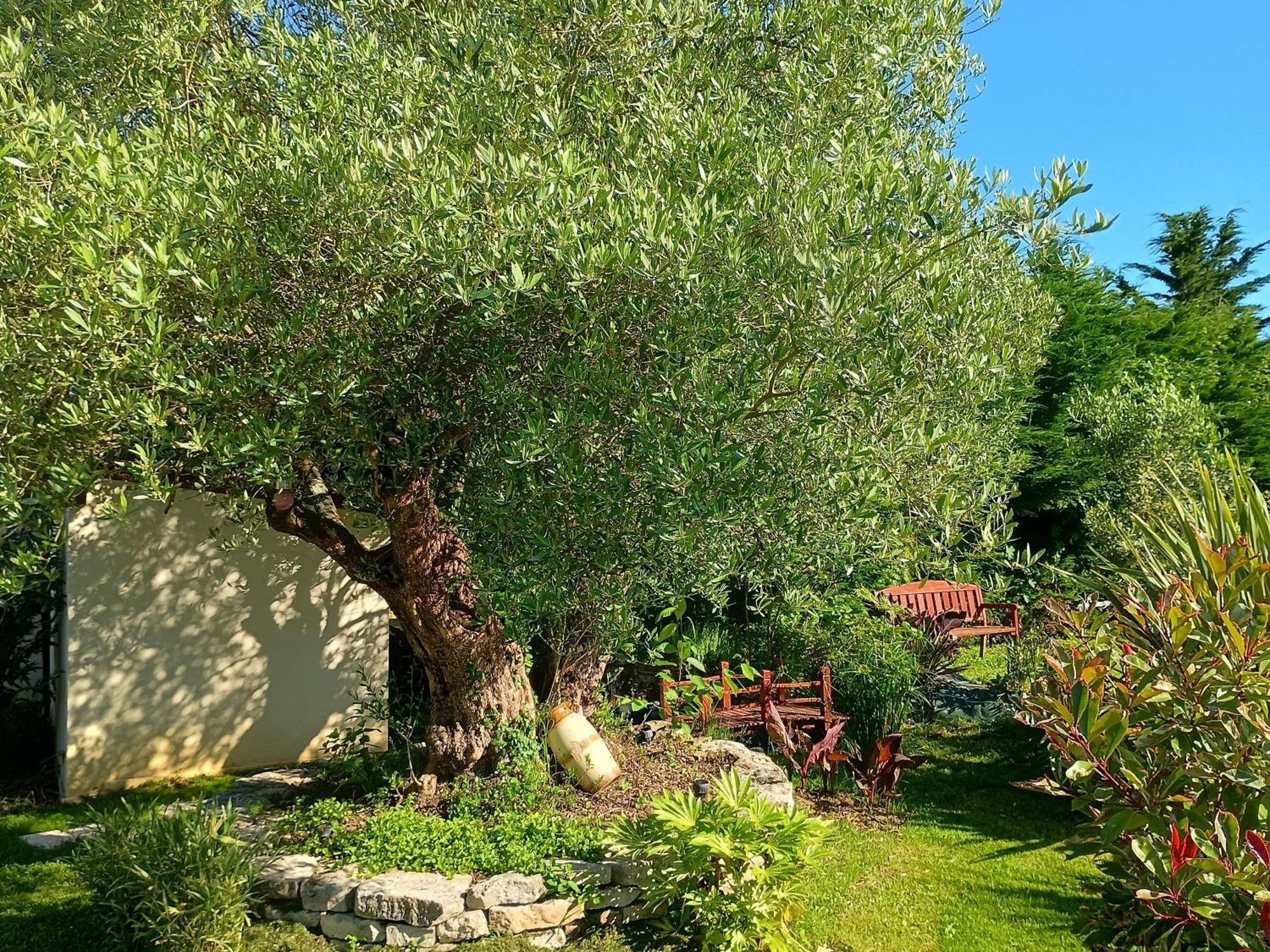 Gite Les Rosiers Au Domaine Des Sauvineries Saint-Germain-de-Princay Exteriör bild